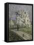 Le Grand Poirier En Fleurs-Emilio Boggio-Framed Stretched Canvas