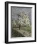 Le Grand Poirier En Fleurs-Emilio Boggio-Framed Giclee Print