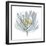 Le Grand Posy-Rebecca Meyers-Framed Art Print