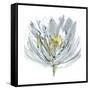 Le Grand Posy-Rebecca Meyers-Framed Stretched Canvas