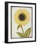 Le Grand Soleil, circa 1700-null-Framed Giclee Print