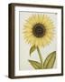 Le Grand Soleil, circa 1700-null-Framed Giclee Print