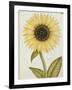 Le Grand Soleil, circa 1700-null-Framed Giclee Print