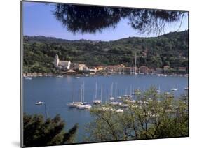 Le Grazie, Near Portovenere in the La Spezia Area, Liguria, Italy, Europe-Patrick Dieudonne-Mounted Photographic Print