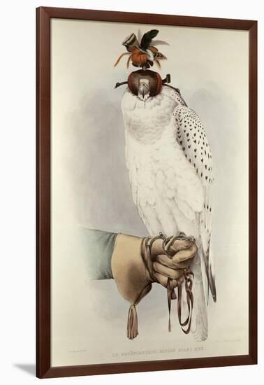 Le Groenlandais, Faucon Blanc Mue, Traite de Fauconnerie Schlegel and Verster de Wulverhorst-Mattias Wolf-Framed Giclee Print