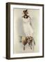 Le Groenlandais, Faucon Blanc Mue, Traite de Fauconnerie Schlegel and Verster de Wulverhorst-Mattias Wolf-Framed Premium Giclee Print