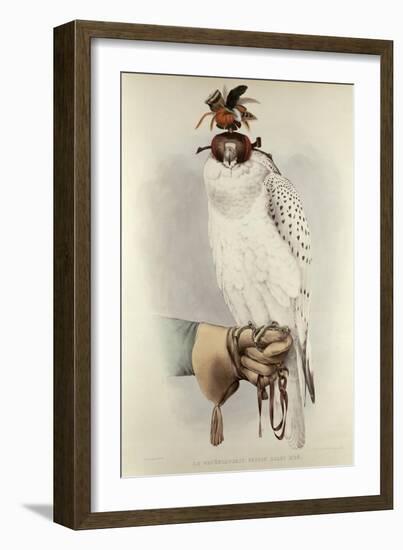 Le Groenlandais, Faucon Blanc Mue, Traite de Fauconnerie Schlegel and Verster de Wulverhorst-Mattias Wolf-Framed Giclee Print