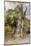 Le Gros chêne-Rosa Bonheur-Mounted Giclee Print