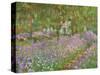 Le jardin a Giverny.-Claude Monet-Stretched Canvas
