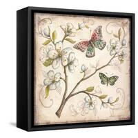 Le Jardin Butterfly III-Kate McRostie-Framed Stretched Canvas