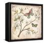 Le Jardin Butterfly III-Kate McRostie-Framed Stretched Canvas