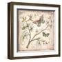 Le Jardin Butterfly III-Kate McRostie-Framed Art Print