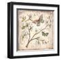 Le Jardin Butterfly III-Kate McRostie-Framed Art Print