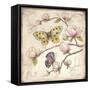 Le Jardin Butterfly IV-Kate McRostie-Framed Stretched Canvas