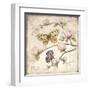 Le Jardin Butterfly IV-Kate McRostie-Framed Art Print