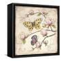 Le Jardin Butterfly IV-Kate McRostie-Framed Stretched Canvas