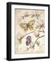 Le Jardin Butterfly V-Kate McRostie-Framed Art Print