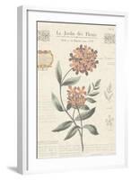 Le Jardin des Fleurs II-Maria Mendez-Framed Art Print