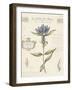 Le Jardin des Fleurs III-Maria Mendez-Framed Giclee Print