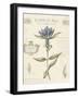 Le Jardin des Fleurs III-Maria Mendez-Framed Giclee Print