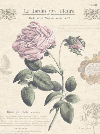 'Le Jardin des Fleurs IV' Giclee Print - Maria Mendez | AllPosters.com