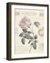 Le Jardin des Fleurs IV-Maria Mendez-Framed Giclee Print