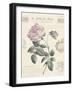Le Jardin des Fleurs IV-Maria Mendez-Framed Giclee Print