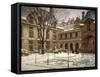 Le Jardin du musée Carnavalet, effet de neige-Henry Tenre-Framed Stretched Canvas