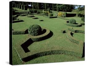 Le Jardin Francais (French Garden), Les Jardins d'Eyrignac, Perigord, Aquitaine, France-Guy Thouvenin-Stretched Canvas