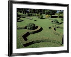 Le Jardin Francais (French Garden), Les Jardins d'Eyrignac, Perigord, Aquitaine, France-Guy Thouvenin-Framed Photographic Print