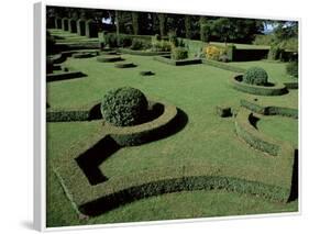 Le Jardin Francais (French Garden), Les Jardins d'Eyrignac, Perigord, Aquitaine, France-Guy Thouvenin-Framed Photographic Print