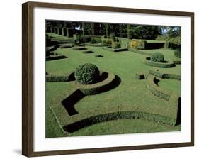 Le Jardin Francais (French Garden), Les Jardins d'Eyrignac, Perigord, Aquitaine, France-Guy Thouvenin-Framed Photographic Print