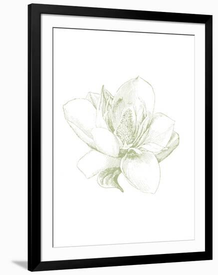 Le Jardin Printemps Pattern I Magnolia-Sue Schlabach-Framed Art Print