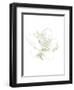 Le Jardin Printemps Pattern I Magnolia-Sue Schlabach-Framed Art Print