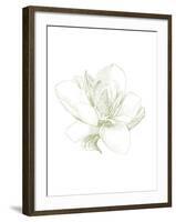 Le Jardin Printemps Pattern I Magnolia-Sue Schlabach-Framed Art Print