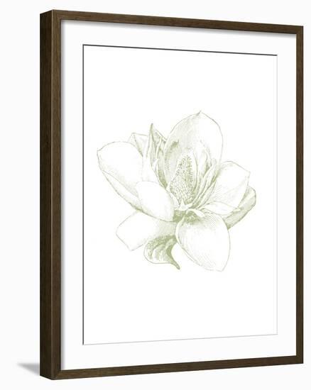 Le Jardin Printemps Pattern I Magnolia-Sue Schlabach-Framed Art Print