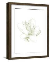 Le Jardin Printemps Pattern I Magnolia-Sue Schlabach-Framed Art Print