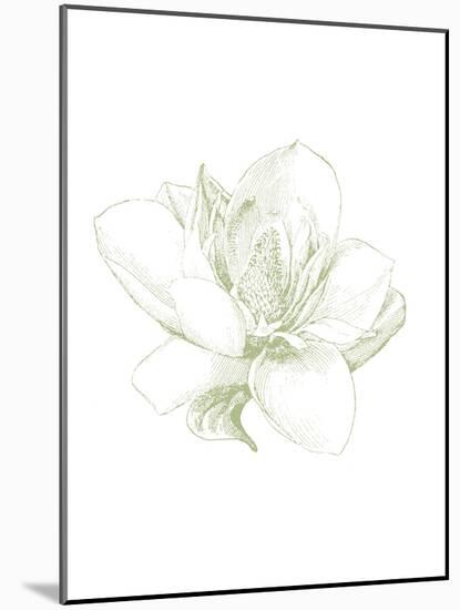 Le Jardin Printemps Pattern I Magnolia-Sue Schlabach-Mounted Art Print