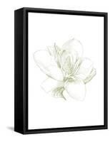 Le Jardin Printemps Pattern I Magnolia-Sue Schlabach-Framed Stretched Canvas