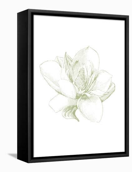 Le Jardin Printemps Pattern I Magnolia-Sue Schlabach-Framed Stretched Canvas