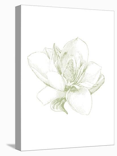 Le Jardin Printemps Pattern I Magnolia-Sue Schlabach-Stretched Canvas