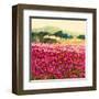 Le Jardin Rouge, Provence-Hazel Barker-Framed Art Print