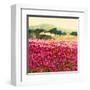 Le Jardin Rouge, Provence-Hazel Barker-Framed Art Print