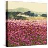 Le Jardin Rouge, Provence-Hazel Barker-Stretched Canvas