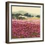 Le Jardin Rouge, Provence-Hazel Barker-Framed Giclee Print