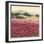 Le Jardin Rouge, Provence-Hazel Barker-Framed Giclee Print