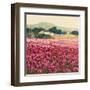 Le Jardin Rouge, Provence-Hazel Barker-Framed Art Print