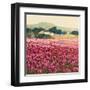 Le Jardin Rouge, Provence-Hazel Barker-Framed Art Print