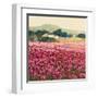 Le Jardin Rouge, Provence-Hazel Barker-Framed Art Print