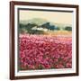 Le Jardin Rouge, Provence-Hazel Barker-Framed Art Print